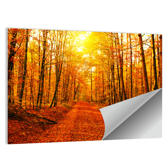 Golden Autumn Forest Path Wall Art as a poster print