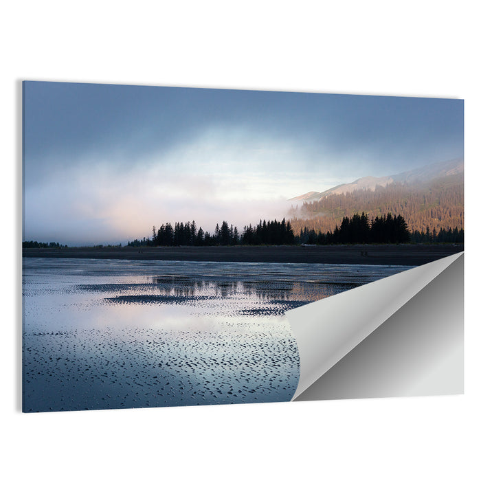 Lake Clark Foggy Shoreline Wall Art as a poster print