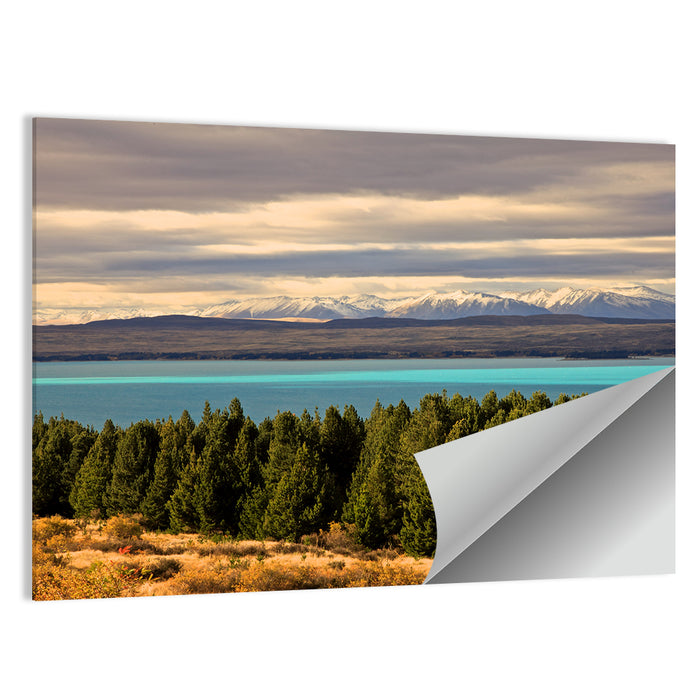 Lake Pukaki Turquoise View Wall Art as a poster print