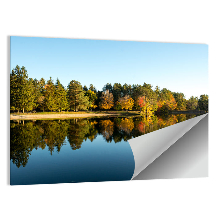 Lake Shaftsbury Autumn Reflection Wall Art as a poster print