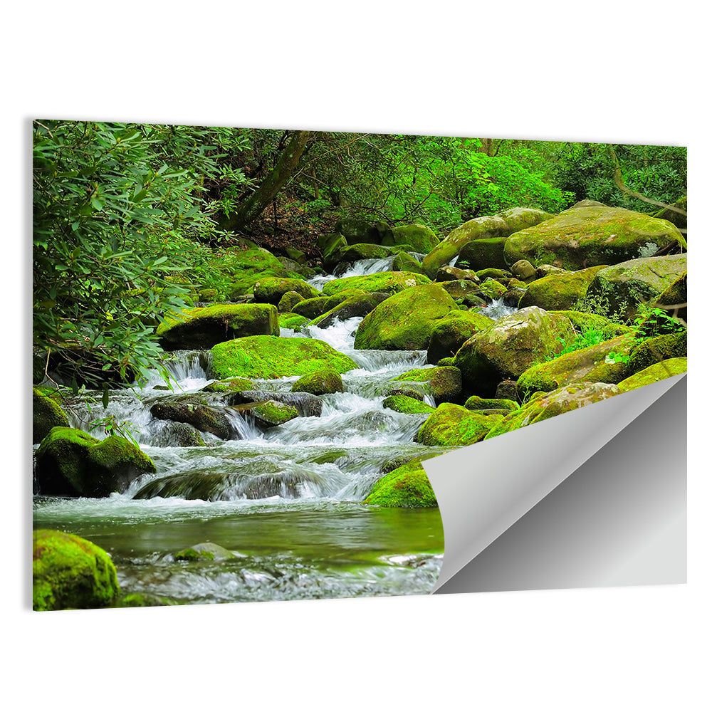 Cascading Mountain Stream Wall Art