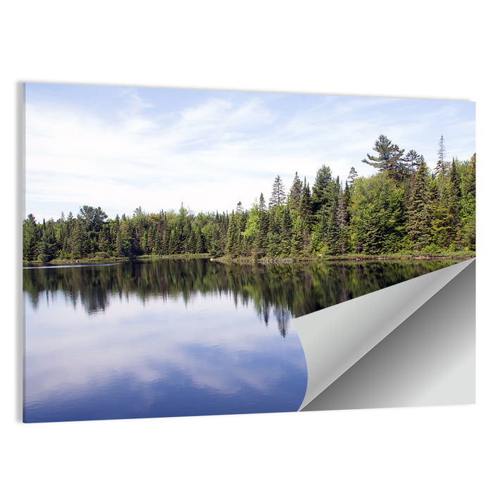 Peck Lake Shoreline Reflection Wall Art as a poster print