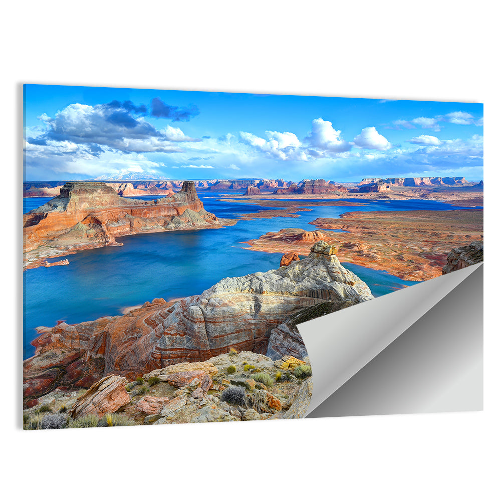 Alstrom Point Arizona Wall Art