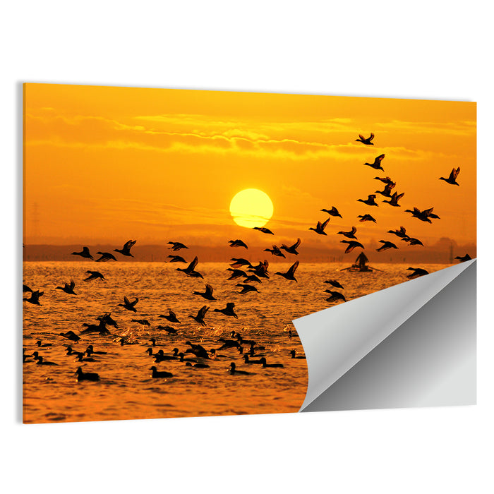 Golden Flock at Sunset Wall Art as a poster print