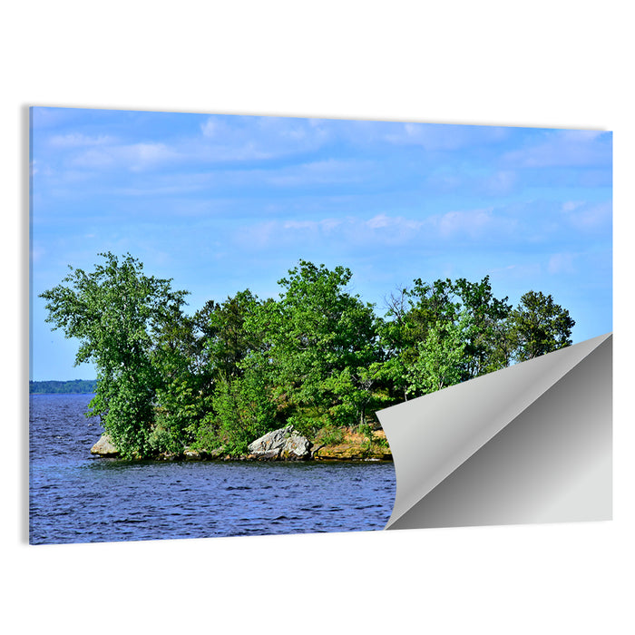 Petenwell Lake Island Wall Art as a poster print