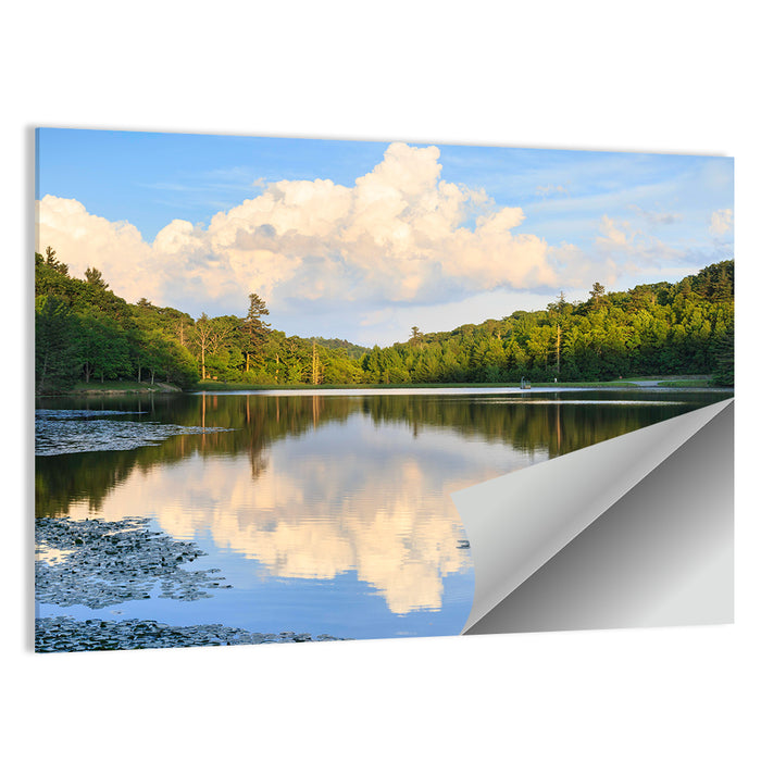 Bass Lake Reflection Wall Art as a poster print