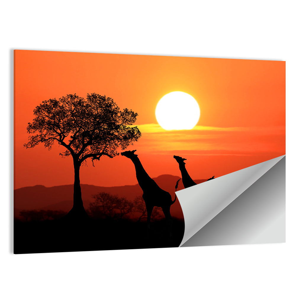South African Giraffes Wall Art