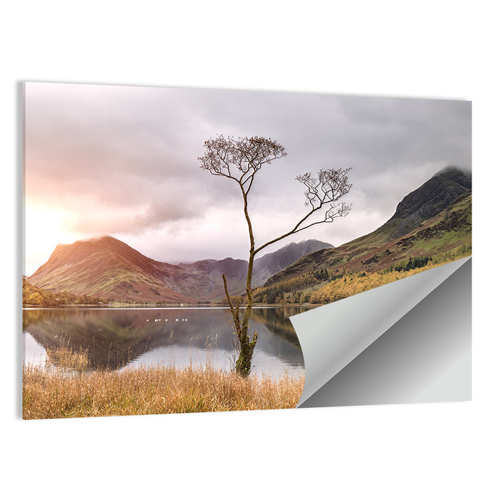 Buttermere Lone Tree at Dusk Wall Art as a poster print