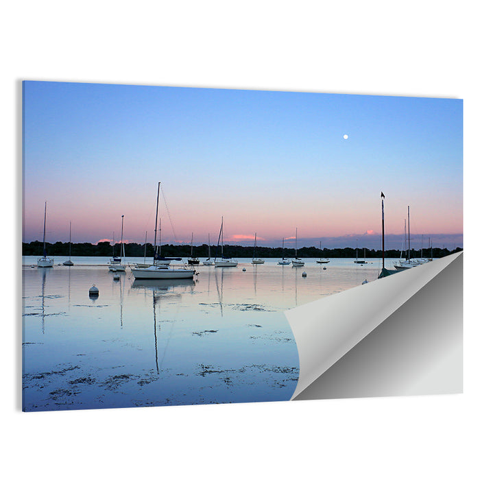 Sailboats on Lake Harriet Wall Art as a poster print