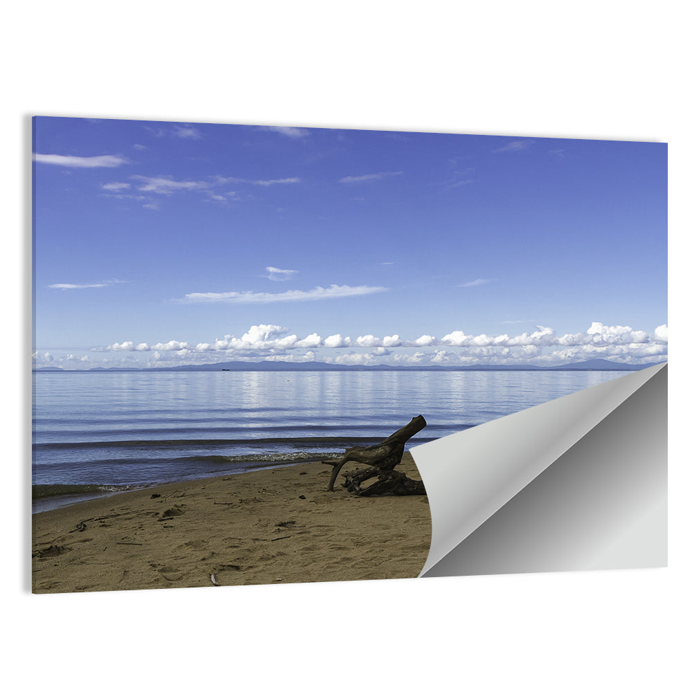Shallow Lake Khanka Wall Art
