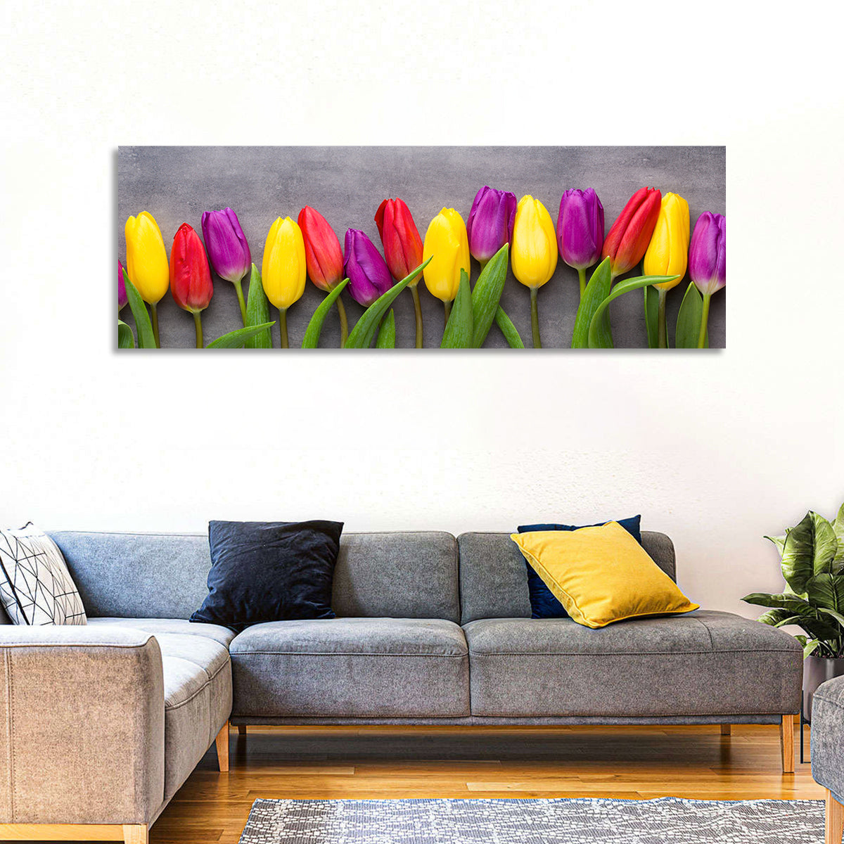 Multicolored Tulips Wall Art