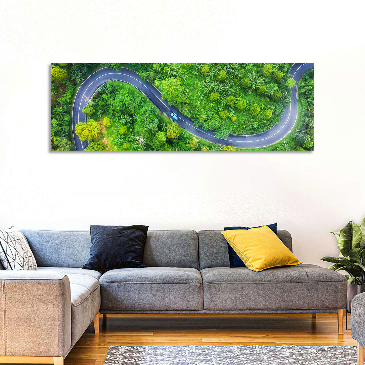 Summer Forest Road Wall Art