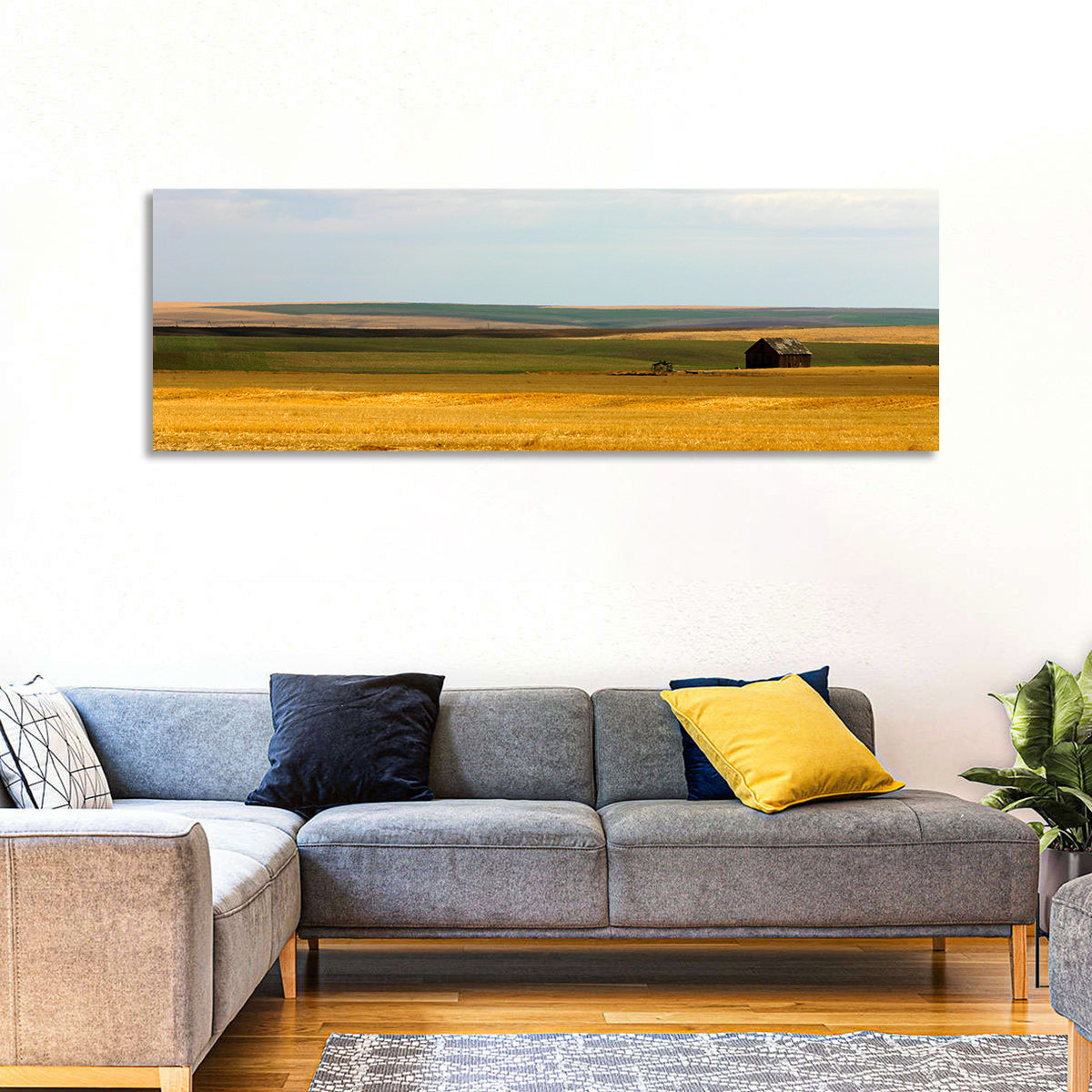 Montana Farmland Wall Art