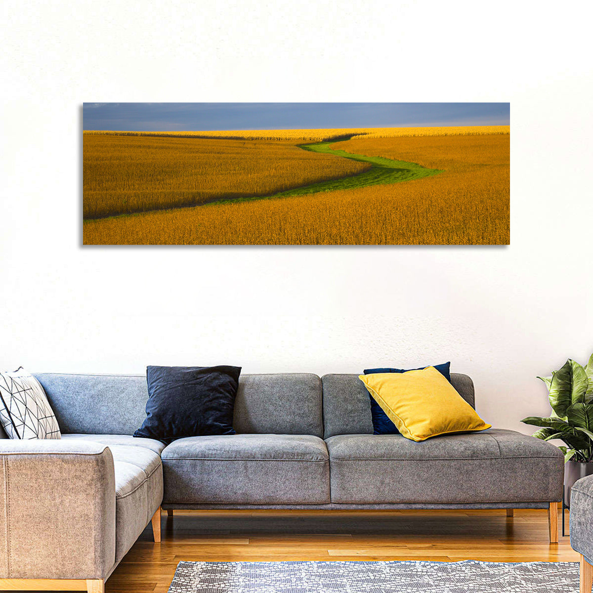 Soybean Field Wall Art