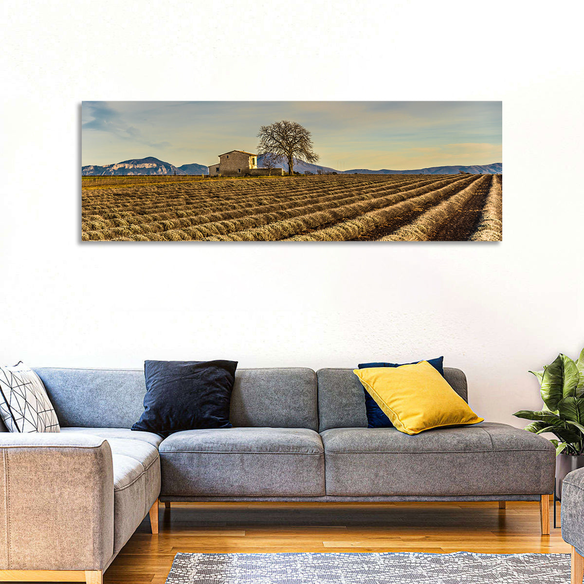 Provence Lavender Wall Art