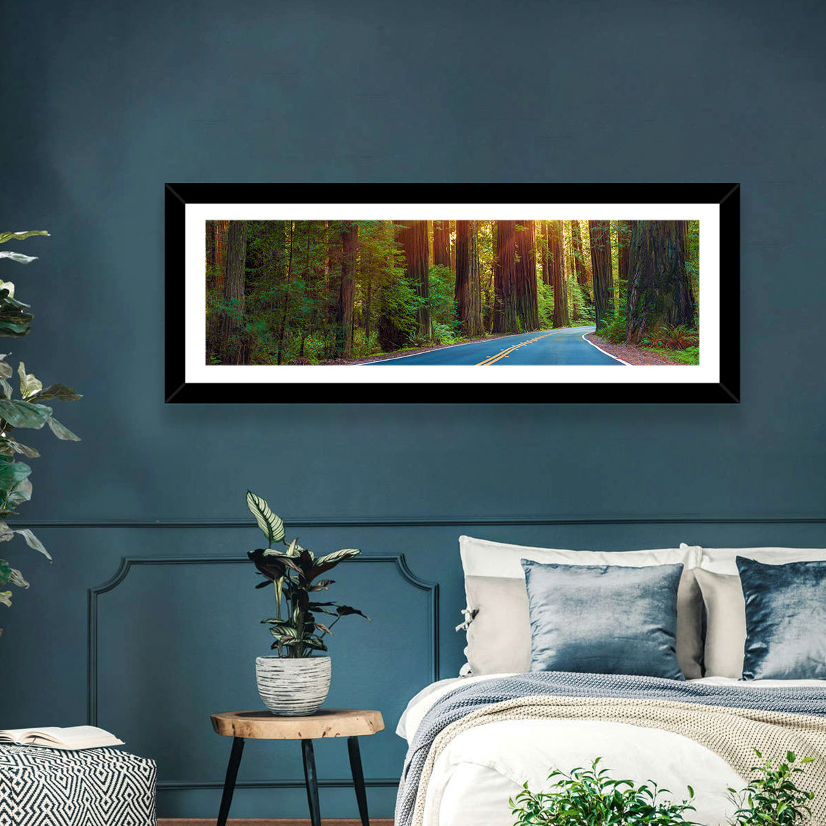 Redwood Forest Highway Wall Art