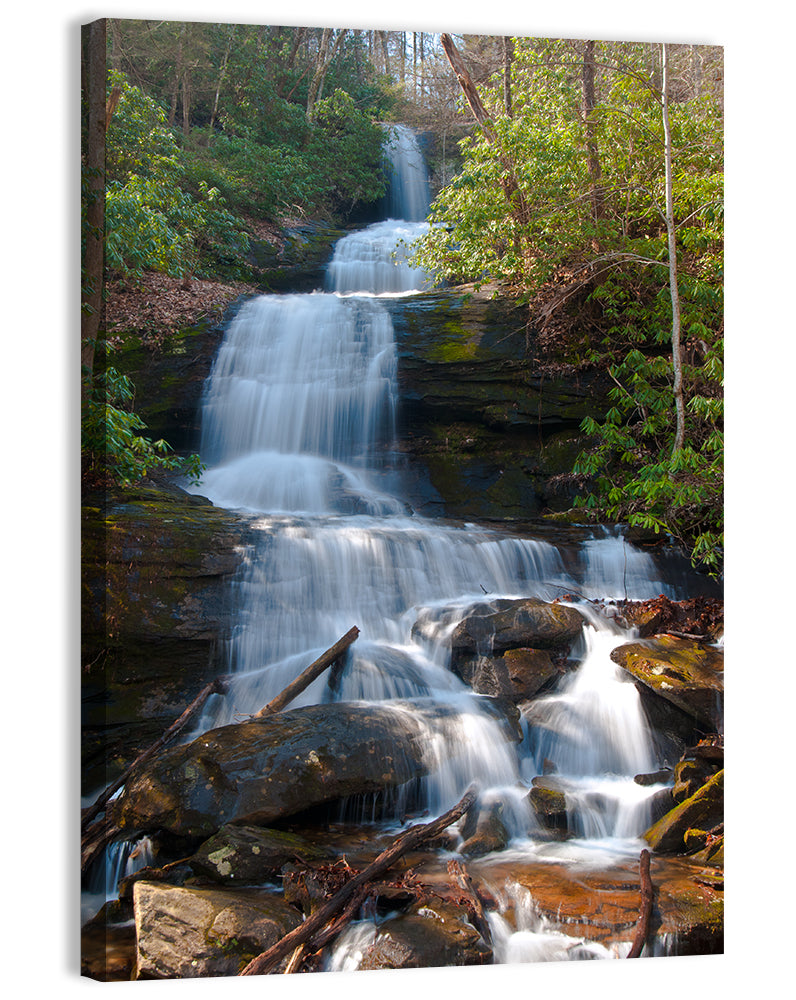 Desoto Falls Cascading Waterfall Wall Art, canvas print, portrait