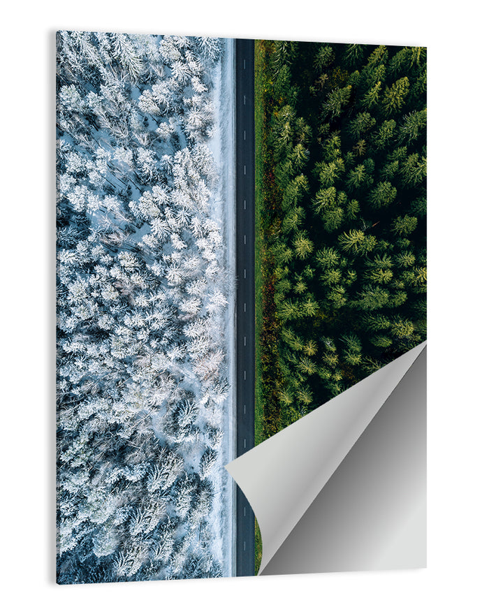 Summer and Winter Forests Wall Art as a poster print