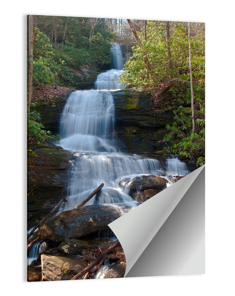 Desoto Falls Cascading Waterfall Wall Art