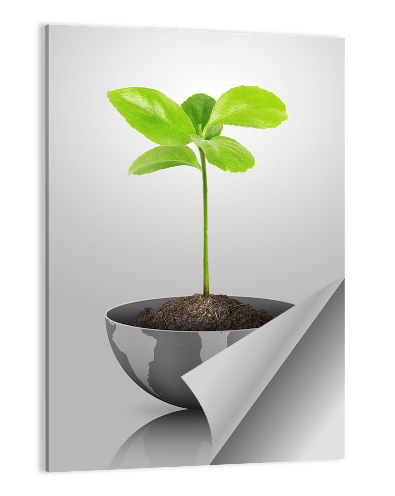 Grow a Plant Concept Wall Art