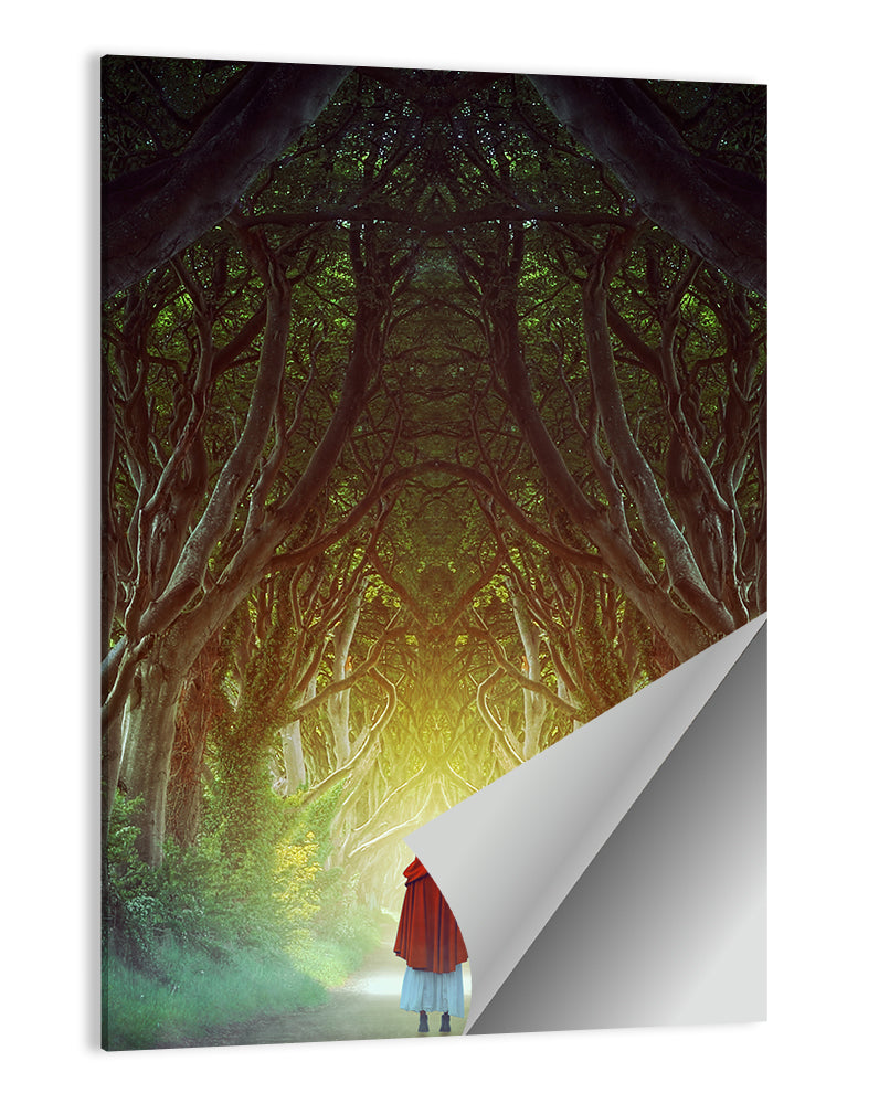 Hedges Forest Pathway Wall Art