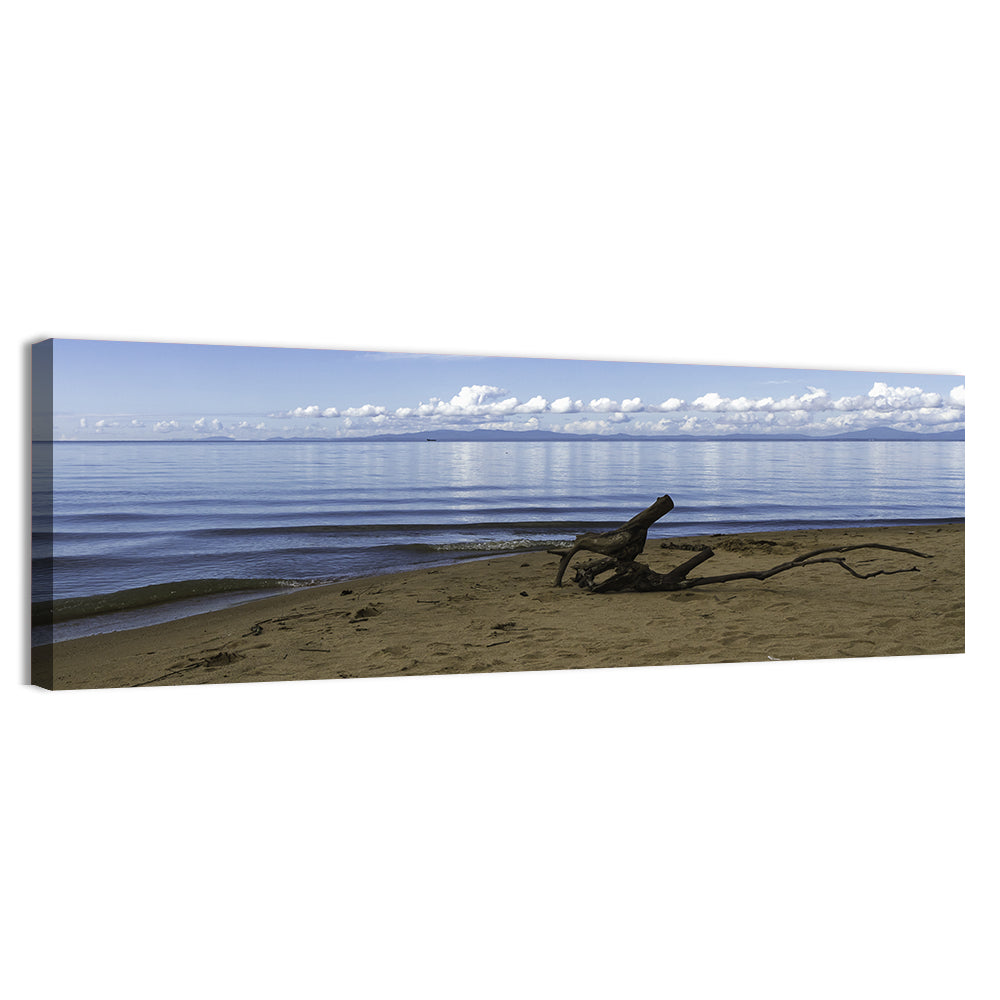 Shallow Lake Khanka Wall Art