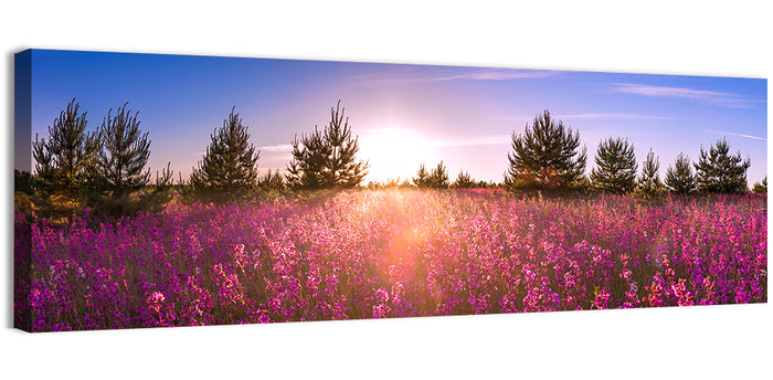Sunrise Wildflower Meadow Wall Art as a canvas print