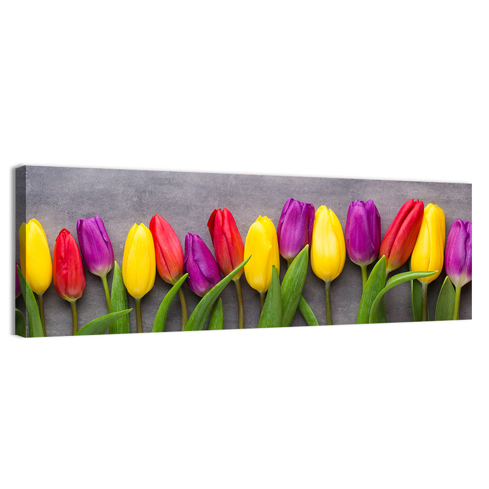 Multicolored Tulips Wall Art