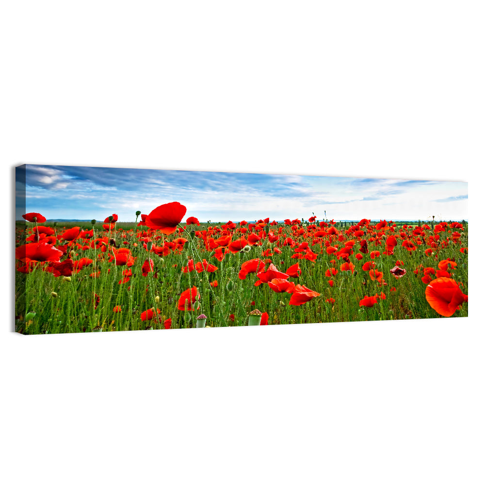 Red Poppy Field Wall Art, canvas print, panoramic