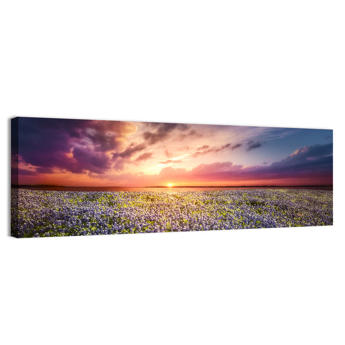 Texas Bluebonnet Sunset Wall Art as a canvas print