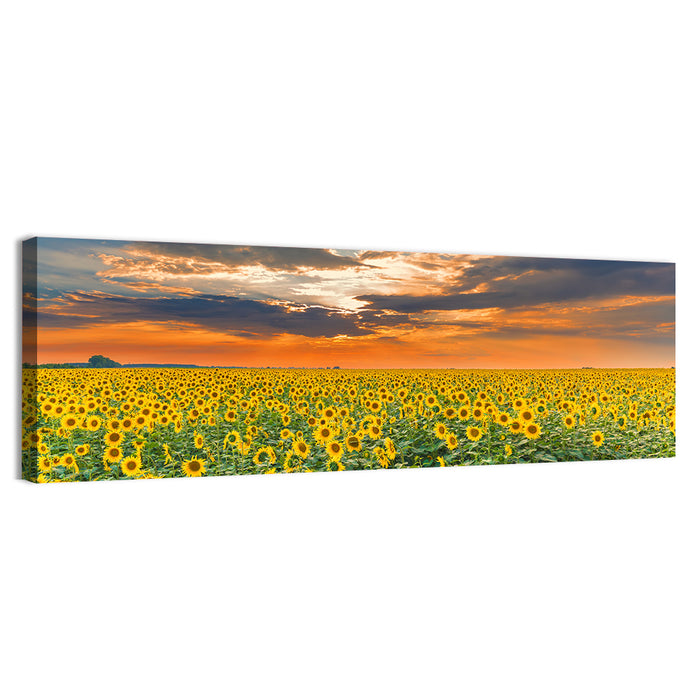 Golden Hour Sunflower Field Wall Art as a canvas print