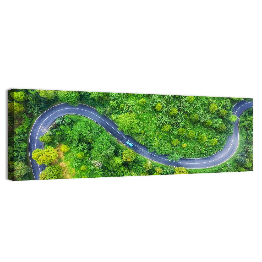 Summer Forest Road Wall Art