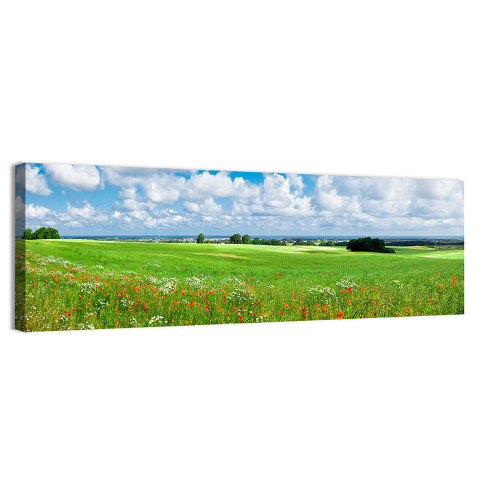 Summer Meadow with Poppies Wall Art as a canvas print