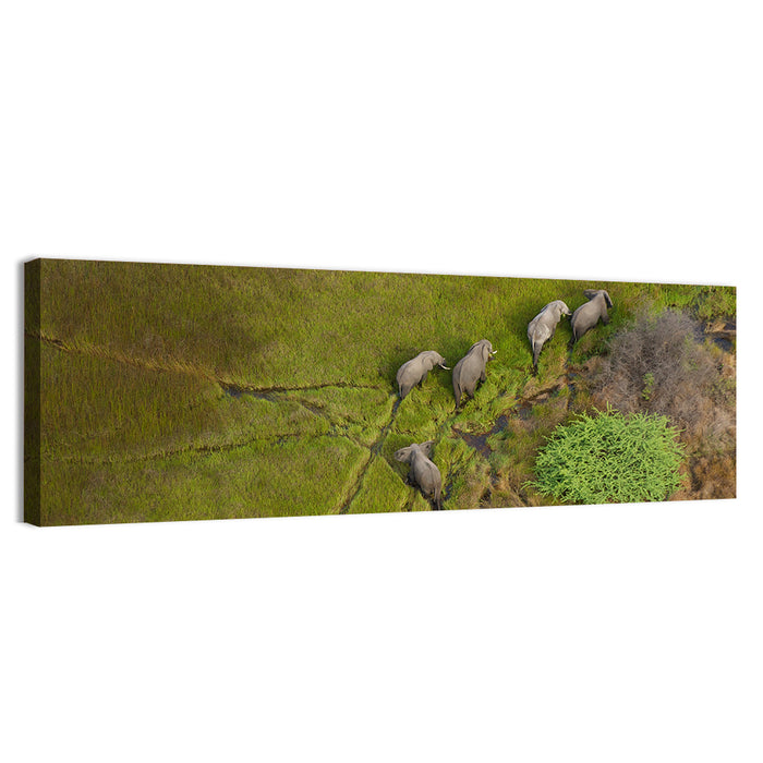 Aerial Herd of Elephants Wall Art as a canvas print