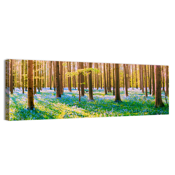 Hallerbos Bluebell Forest Wall Art as a canvas print