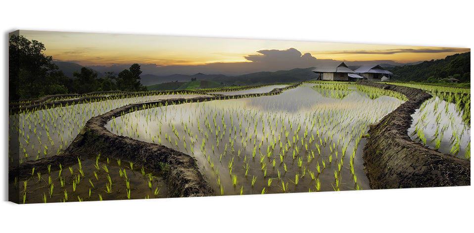 Pa Pong Peang Rice Terrace Wall Art, canvas print, panoramic