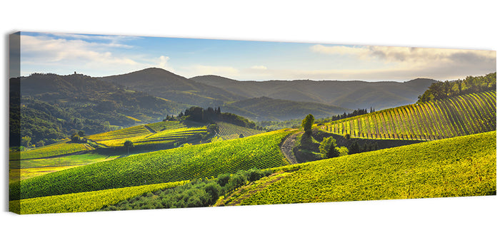 Sunlit Chianti Vineyard Wall Art as a canvas print