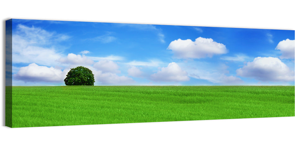 Solitary Tree Over Green Meadow Wall Art, canvas print, panoramic