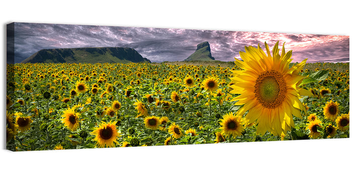 Sunflower Field with Mountains Wall Art as a canvas print