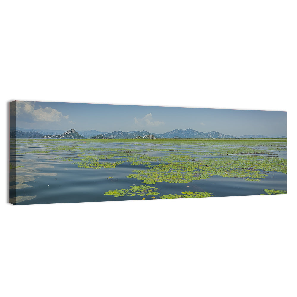 Lake Skadar Water Lilies Wall Art, canvas print, panoramic