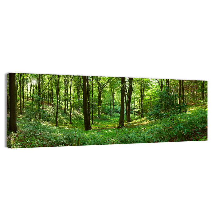 Sunlit Green Woodland Wall Art as a canvas print