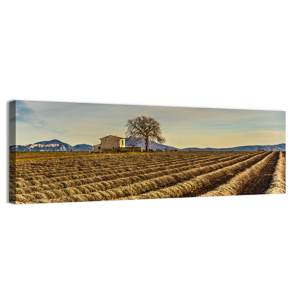 Provence Lavender Wall Art