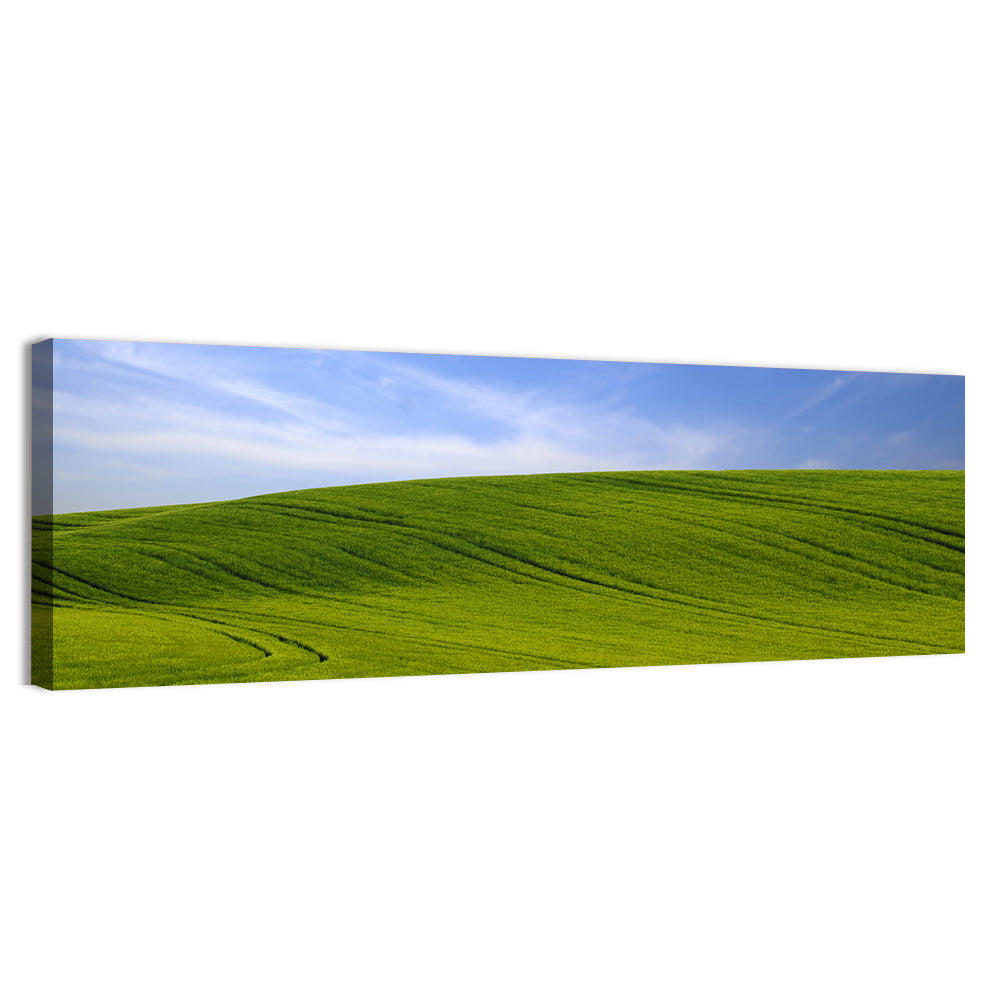 Rolling Green Hill with Blue Sky Wall Art, canvas print, panoramic
