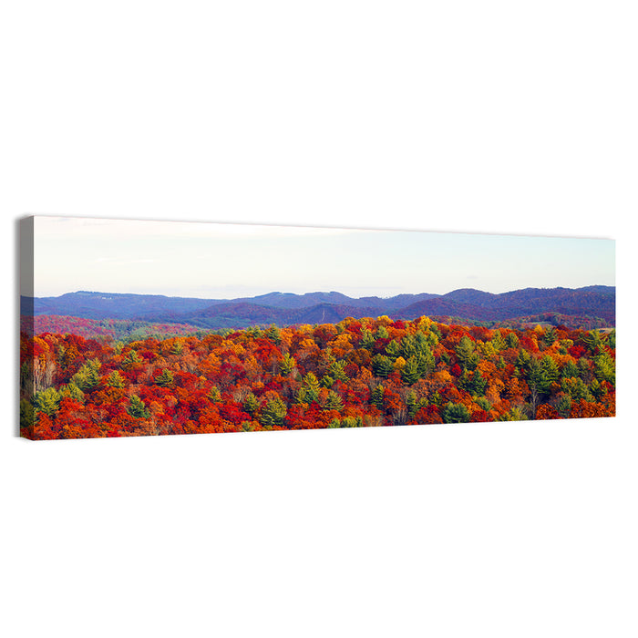 Autumn in the Appalachian Forest Wall Art as a canvas print