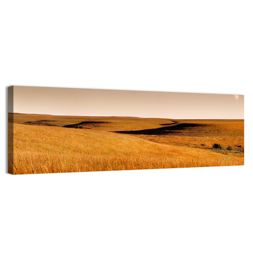 Kansas Tallgrass Prairie Wall Art, canvas print, panoramic