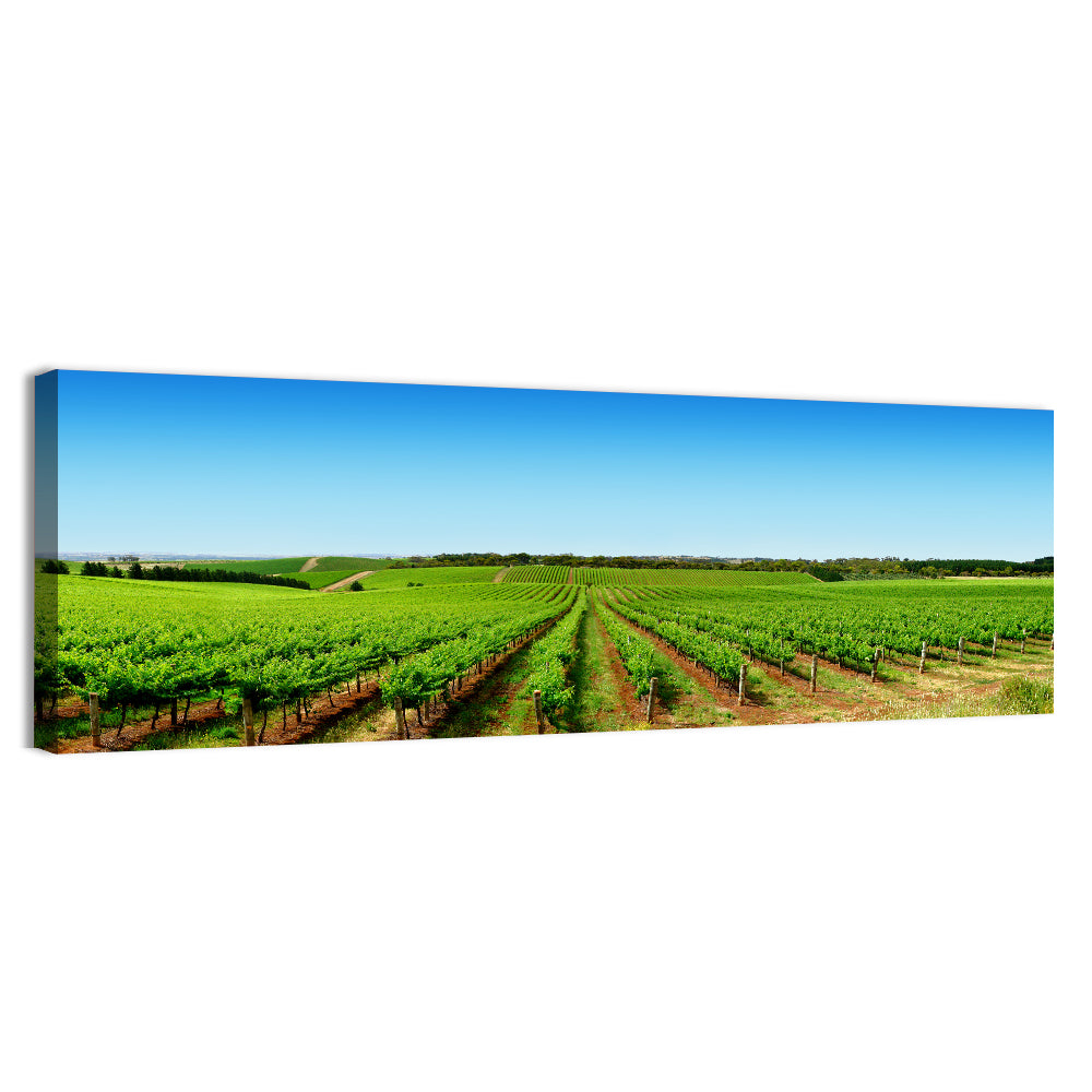Vineyard Landscape Wall Art