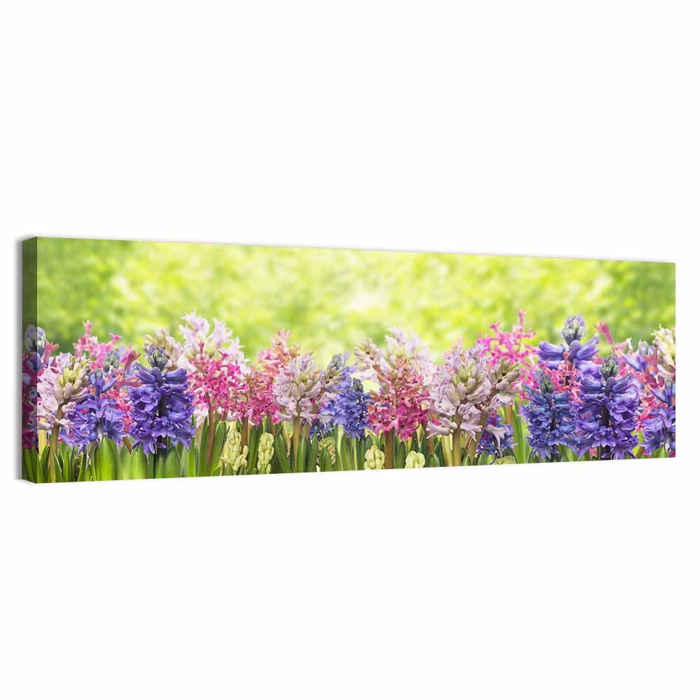 Hyacinth Cluster in Bloom Wall Art, canvas print, panoramic