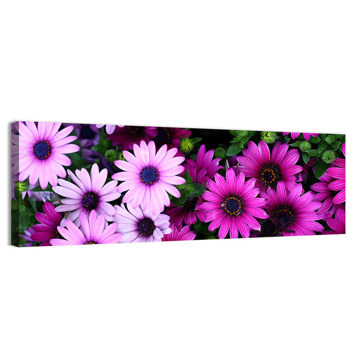 Pink and Purple Daisies Wall Art as a canvas print