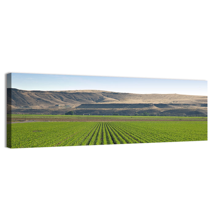 Idaho Corn Field Wall Art as a canvas print