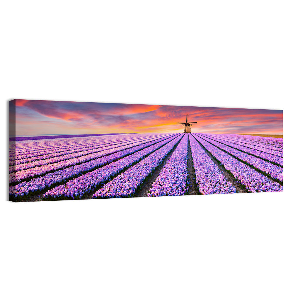 Hyacinth Field at Sunset Wall Art, canvas print, panoramic